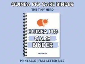 Guinea Pig Care Binder Printable | Guinea Pig Planner (20+ Pages)
