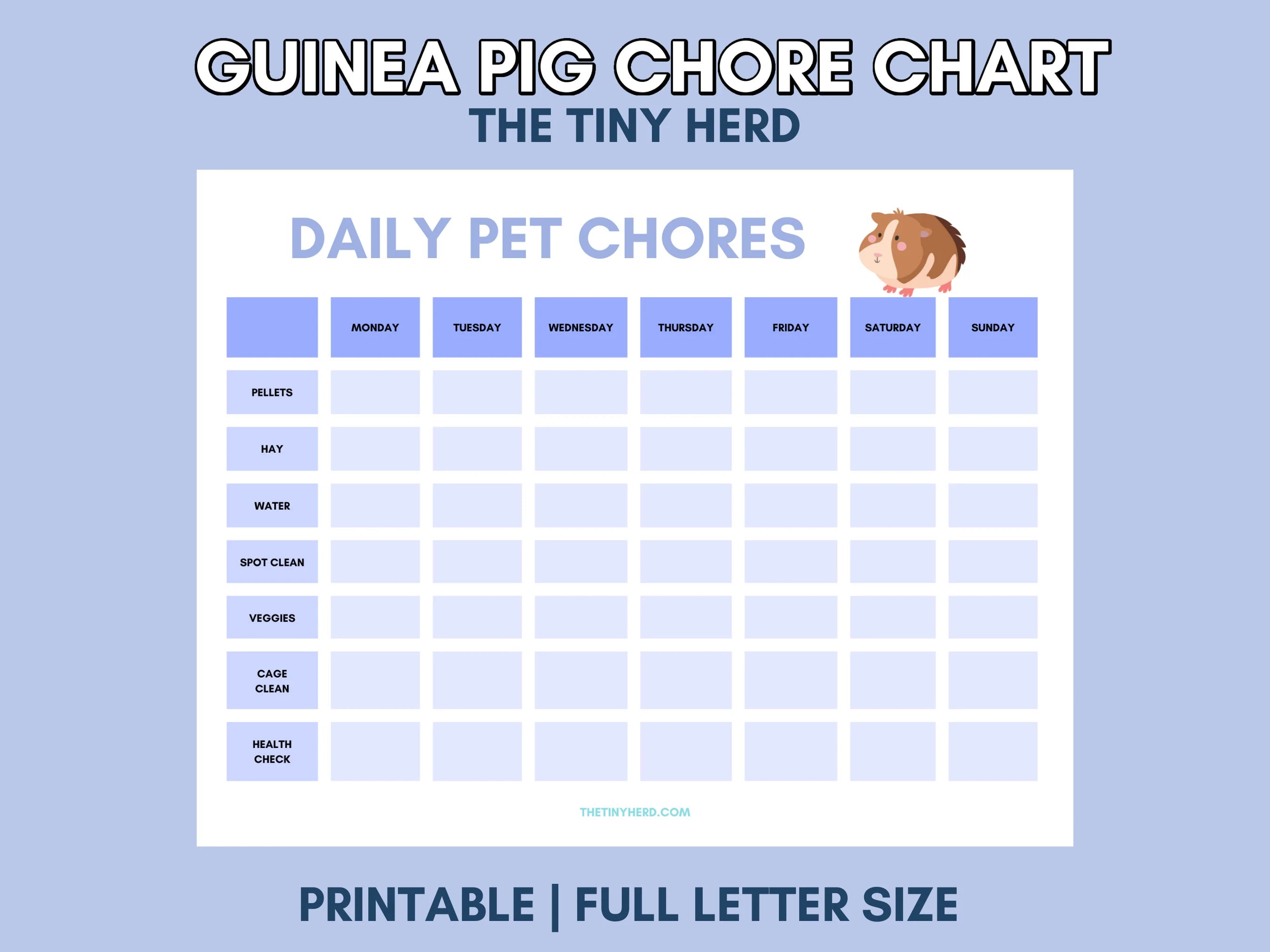 Guinea Pig Chore Chart Printable | Daily Care Checklist PDF