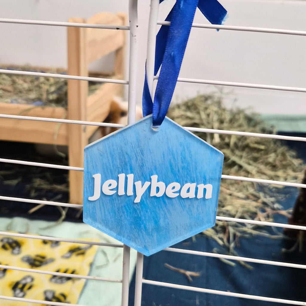 Guinea Pig Name Sign