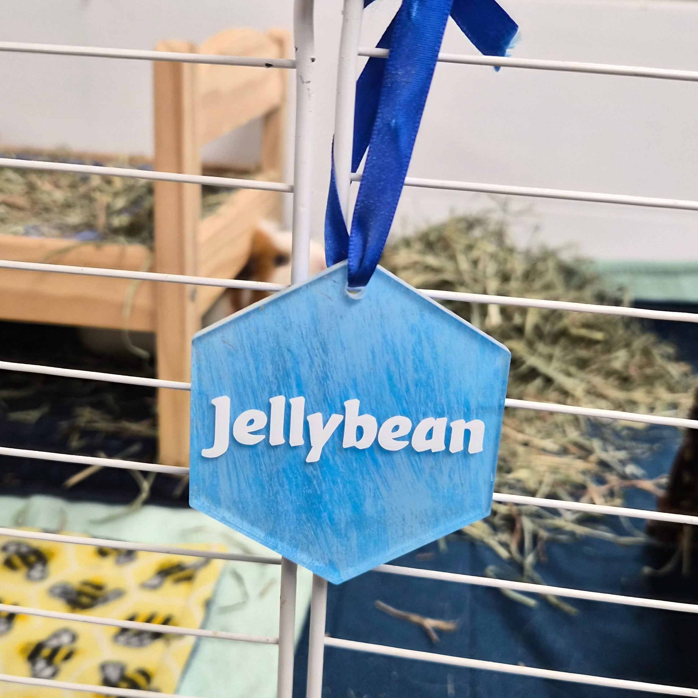 Guinea Pig Name Sign