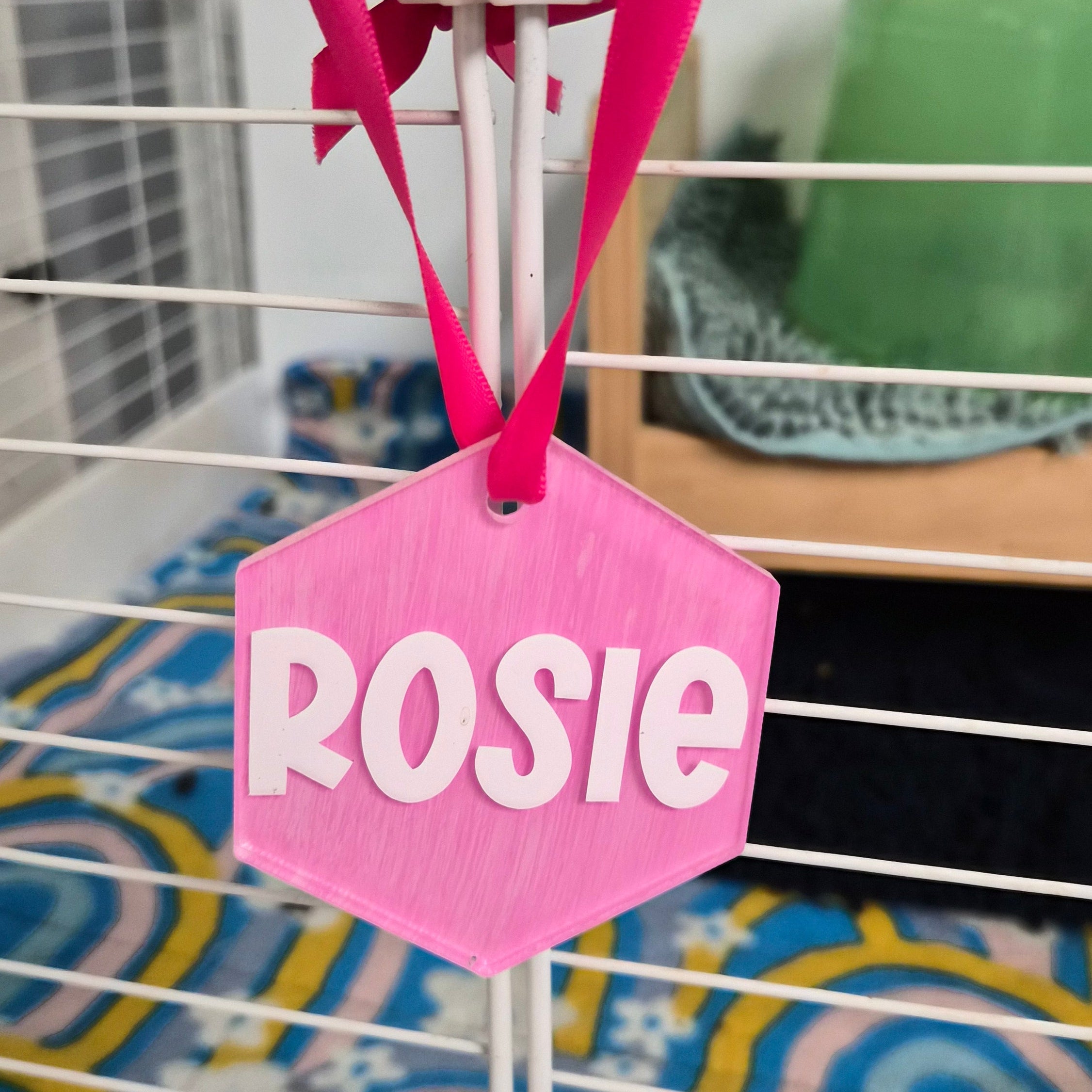 Guinea Pig Name Sign