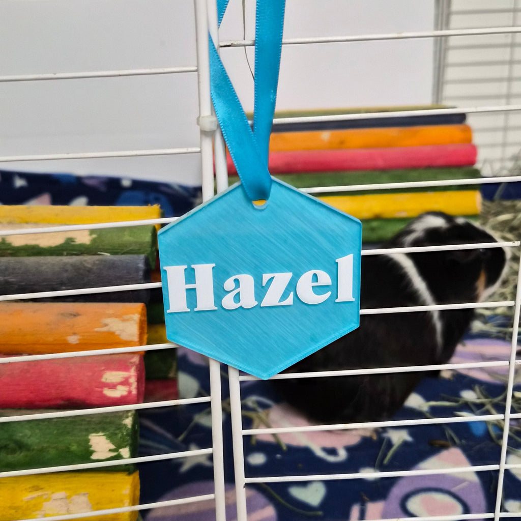 Guinea Pig Name Sign