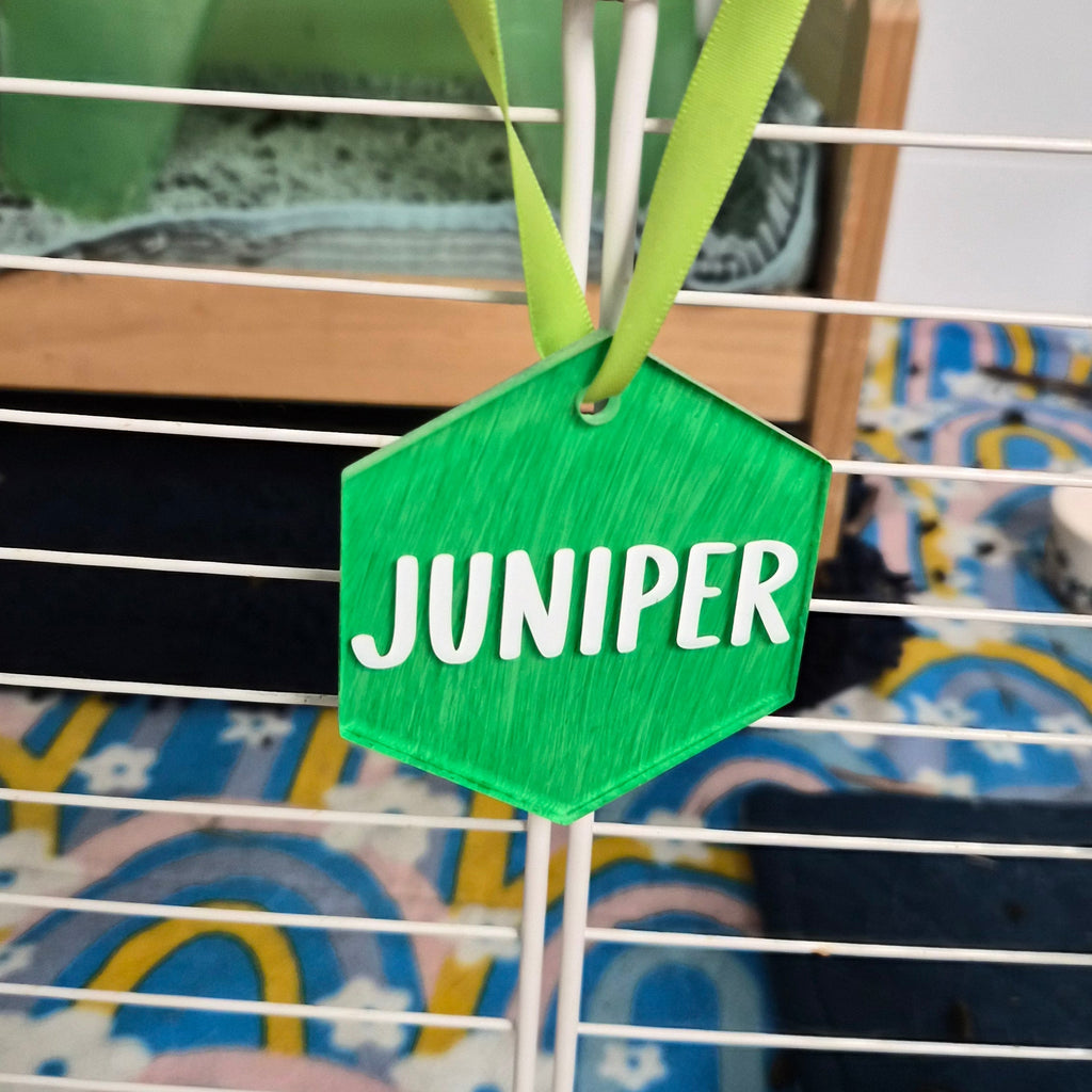Guinea Pig Name Sign