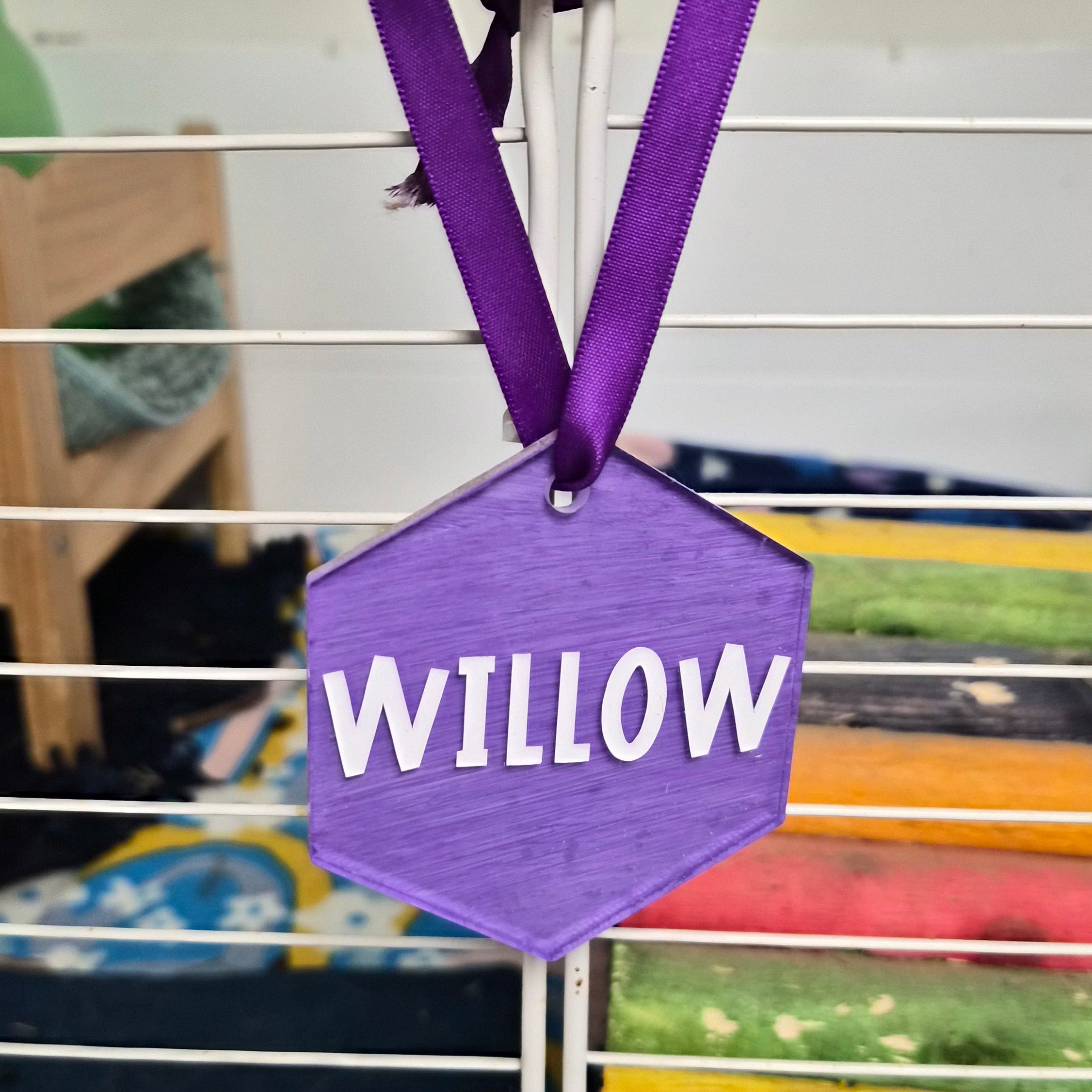 Guinea Pig Name Sign
